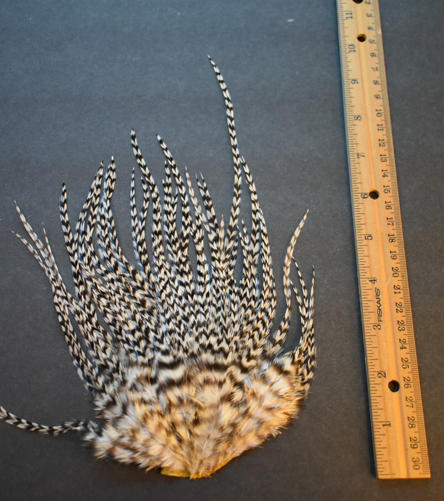 Lot 19, Grizzly Whiting Farms Rooster Saddle Feather Piece Jewelry