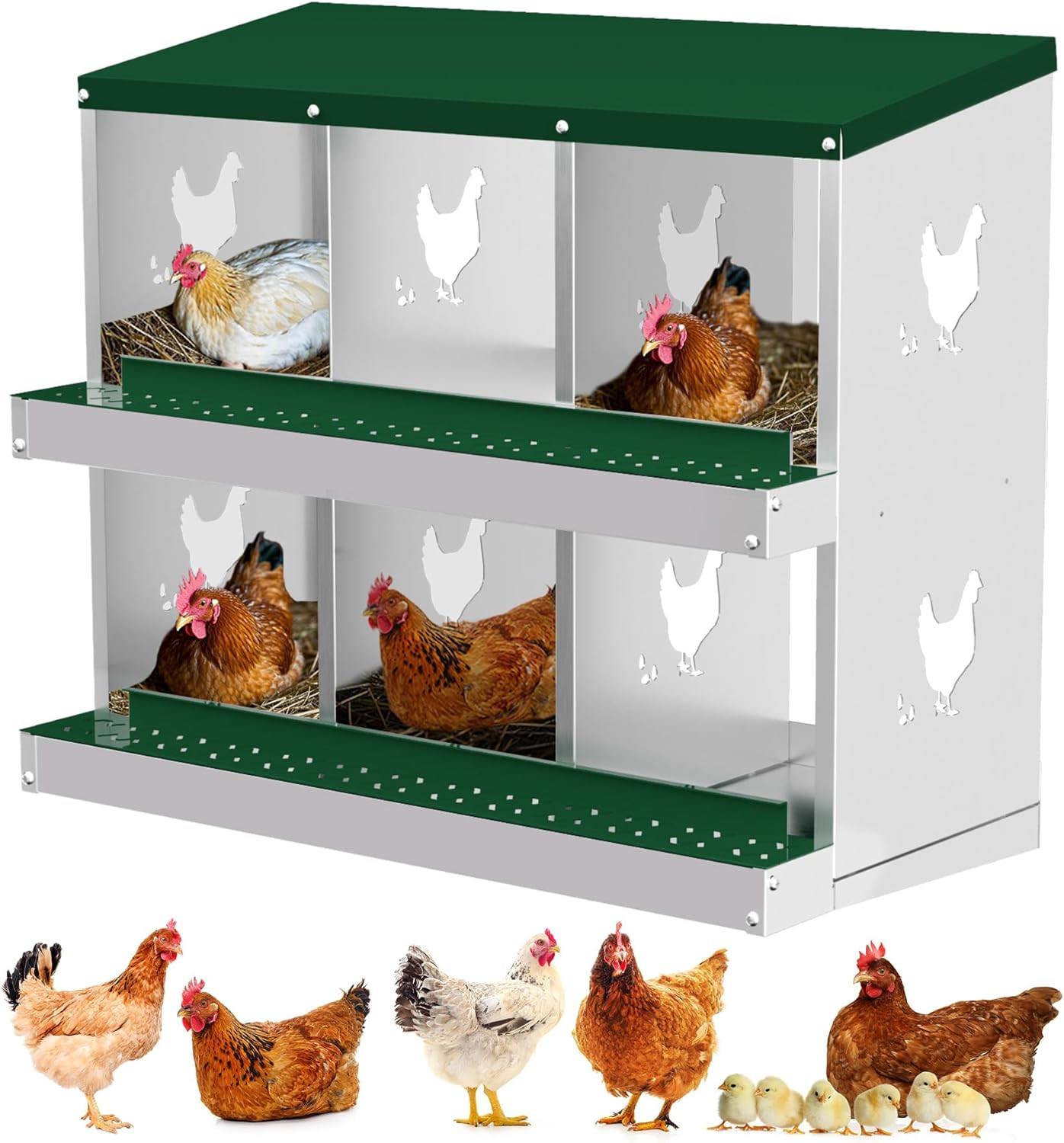Chicken Nesting Box 2-Tier Egg Collection 6/8/10 Holes Chicken Hens Laying Boxes