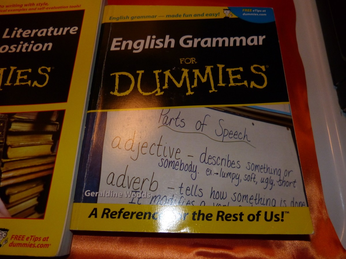 3 PACK ENGLISH GRAMMAR BOOKS SALE For Dummies Literature Language Book FreshSpun