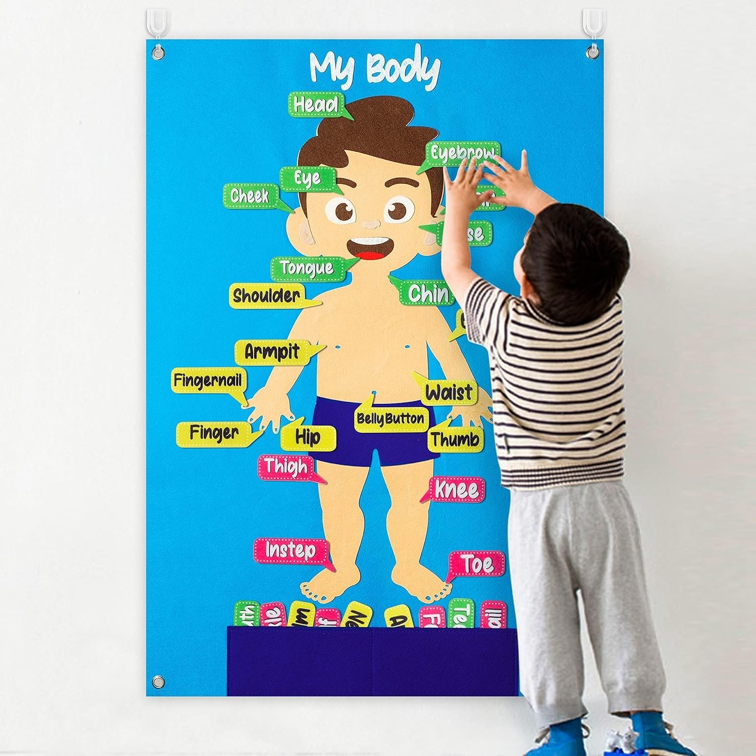 SPANISH Felt Human Body Parts Learning Set  30pcs Storytelling Kit for Preschool