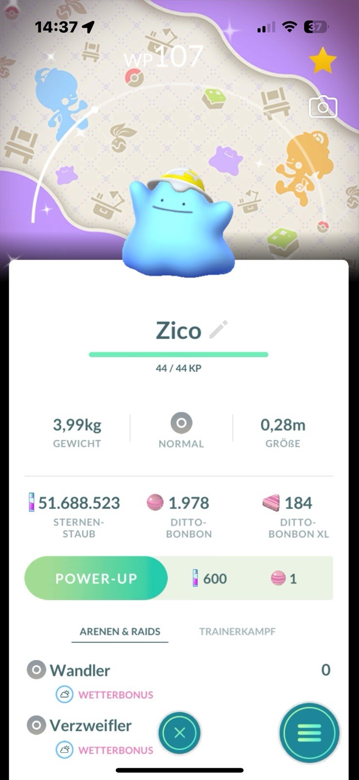 ✨Pokémon Go Shiny Ditto Background / Ditto Background ✨