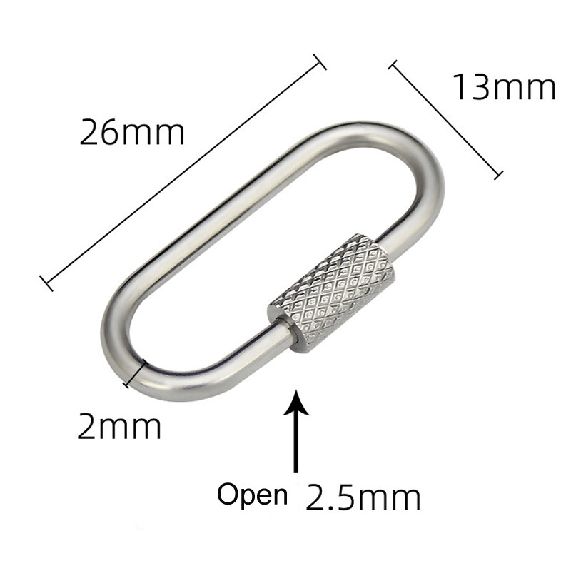 2pcs Mini Climbing Stainless Steel Screw Carabiner Lock Clasp Keychain Clip Hook