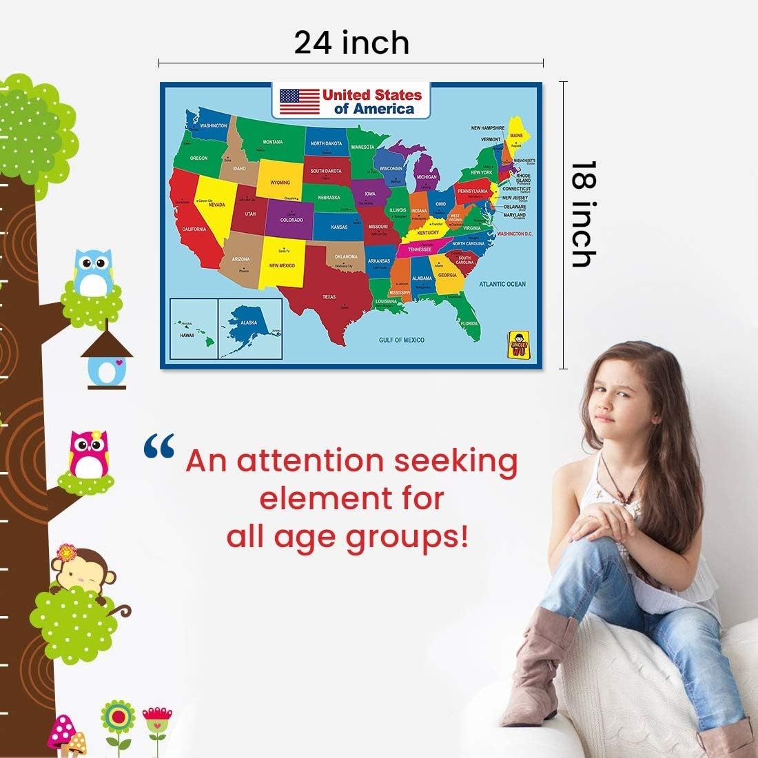 United State Map Laminated Poster -Double Side 18 x 24 Inch, Multicolor