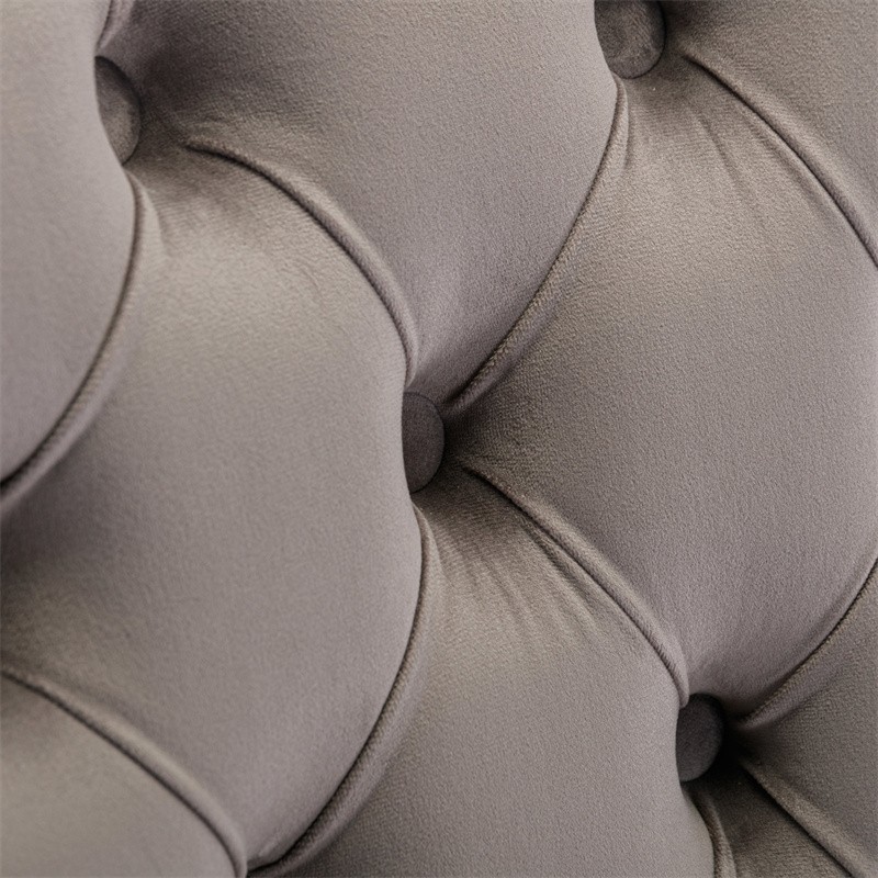 Set of 2 High-end Tufted Velvet Upholstered Dining Chairs with Golden Steel Legs