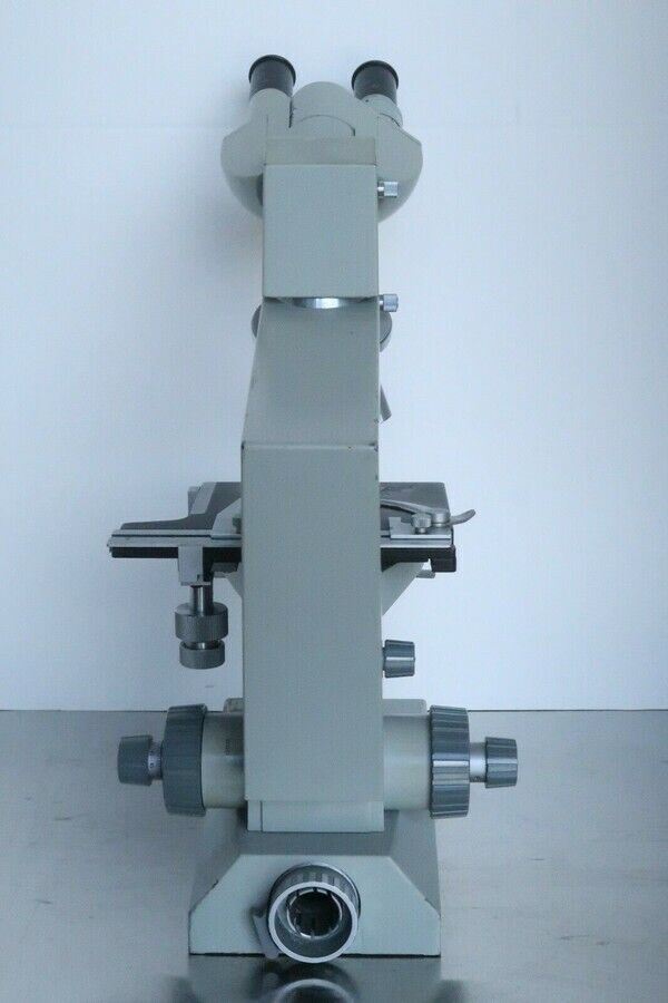 Carl Zeiss Jena Ergaval Vintage Compound Binocular Microscope 10X 40X Objective!