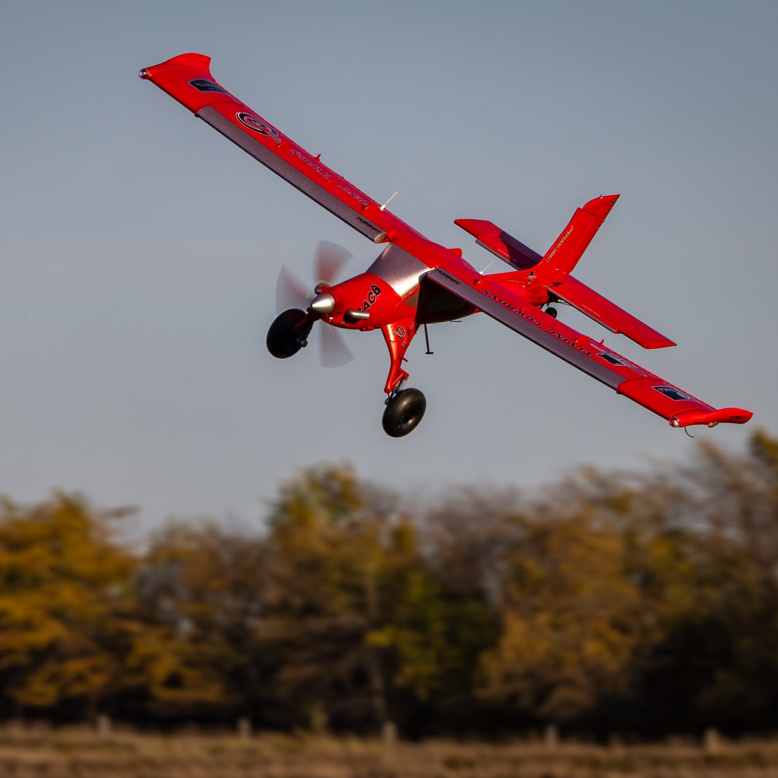 E-flite Micro DRACO 800mm BNF Basic EFL13550