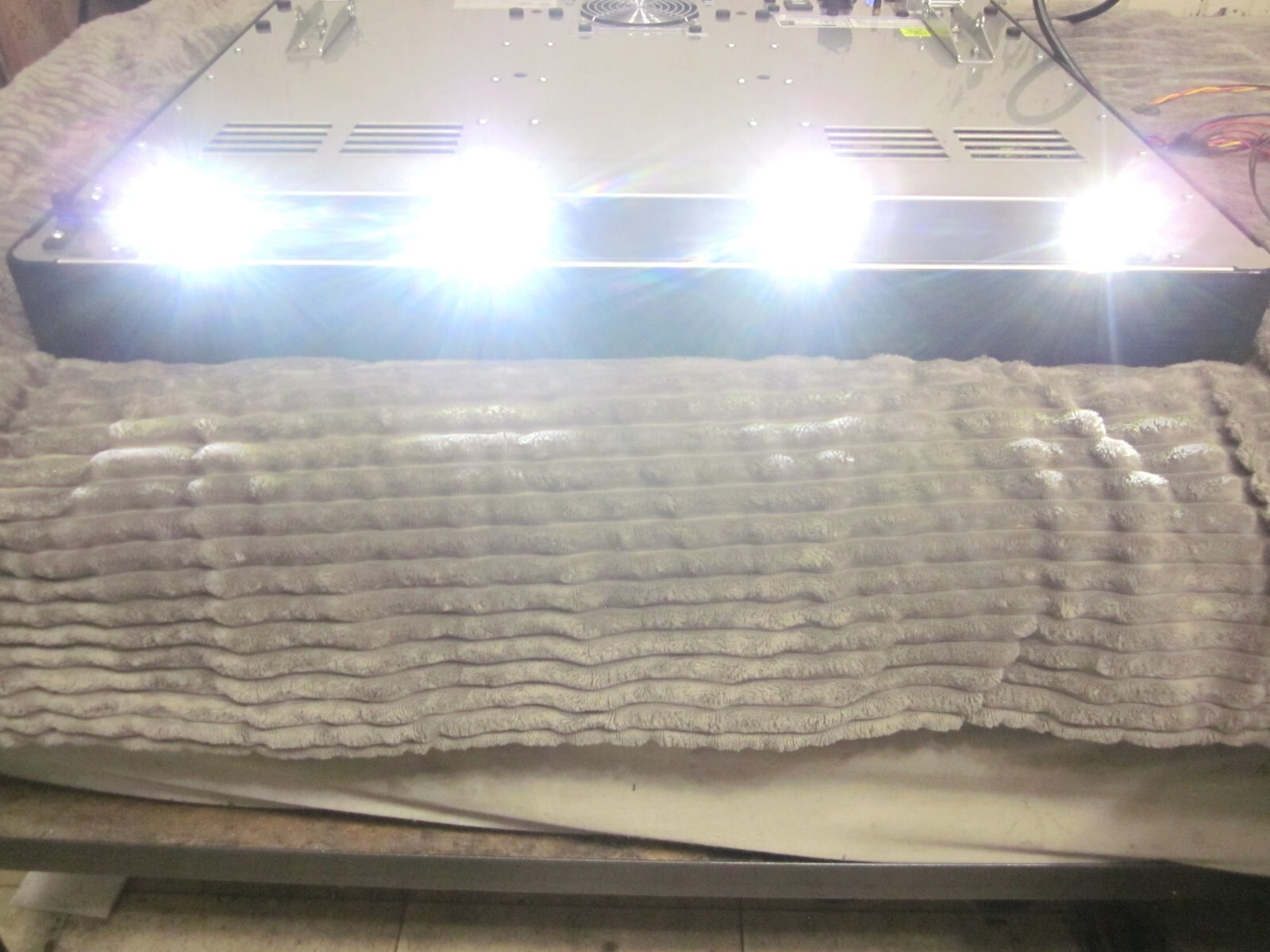 Cornelius 620521775 LED Light