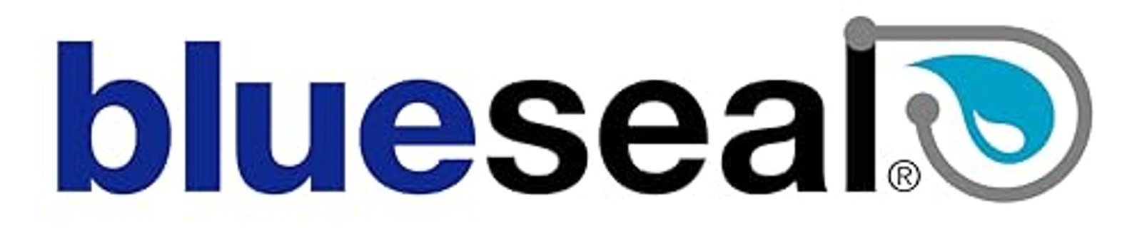 Blueseal Cold Boost w/Applicator for R134a Systems