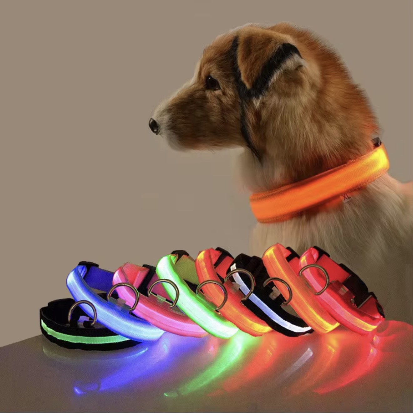 Reflective Luminous Flash Light up Dog Collar USB Charging Safety Adjustable Rec