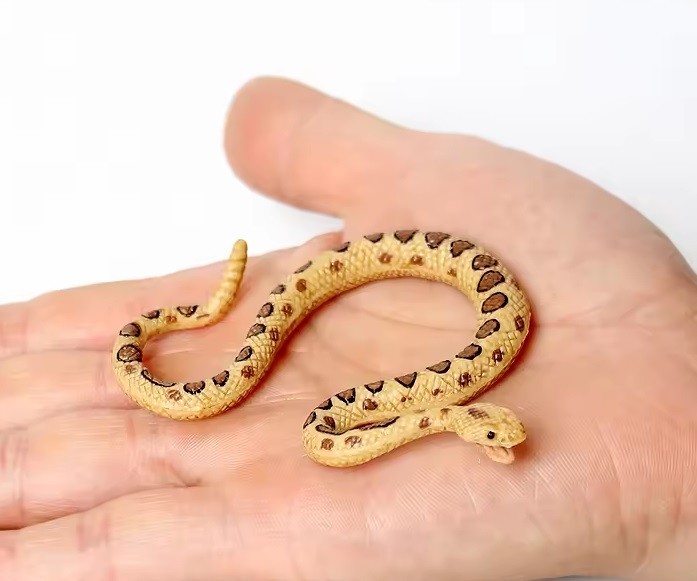 Rattlesnake Snake Animal Figure Toy PVC Wildlife Small Figurine Birthday Gifts