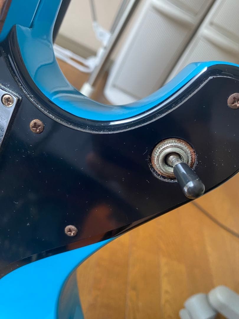 GrassRoots G-STREAM-Miku Safe packing!