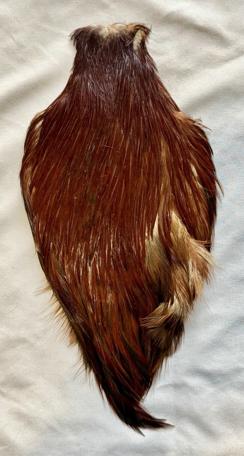 Wapsi Grade # 1 Cape, Natural Brown 481-SH-E-L