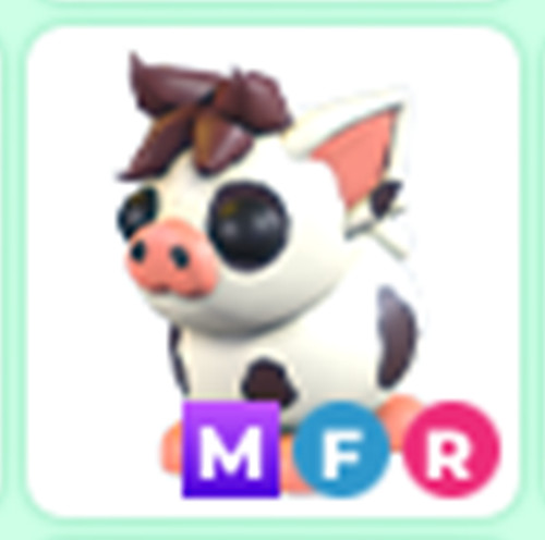 MFR Mini Pig - The Trusted Store!!