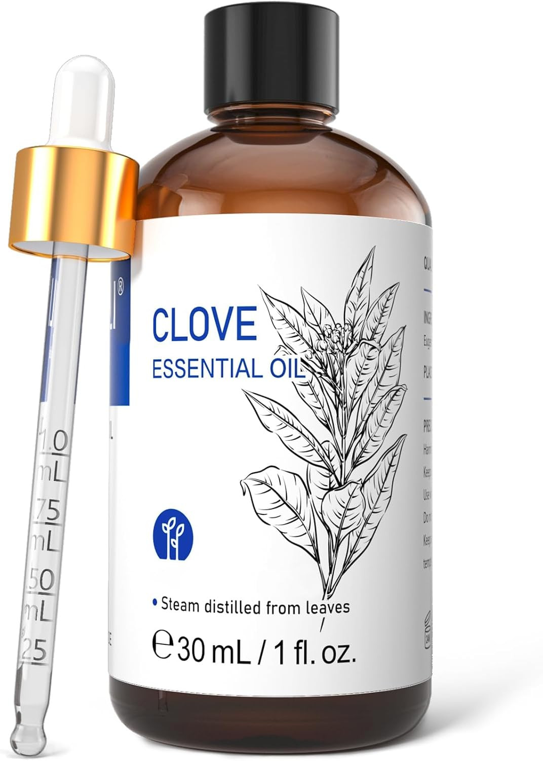 1 Fl Oz Clove Oil for Teeth and Gums, Oral Care, DIY Clean Spray, Aromatherapy -