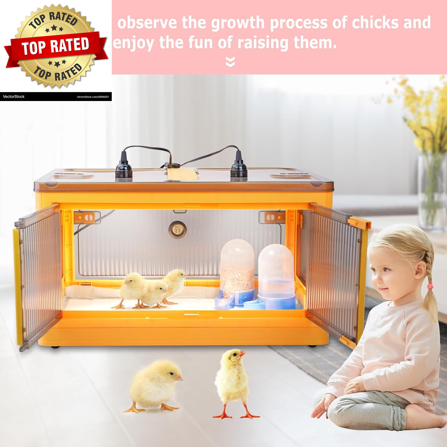 Chick Brooder Box for Chicks, Quail Brooder Box Kit with Heater Feeder