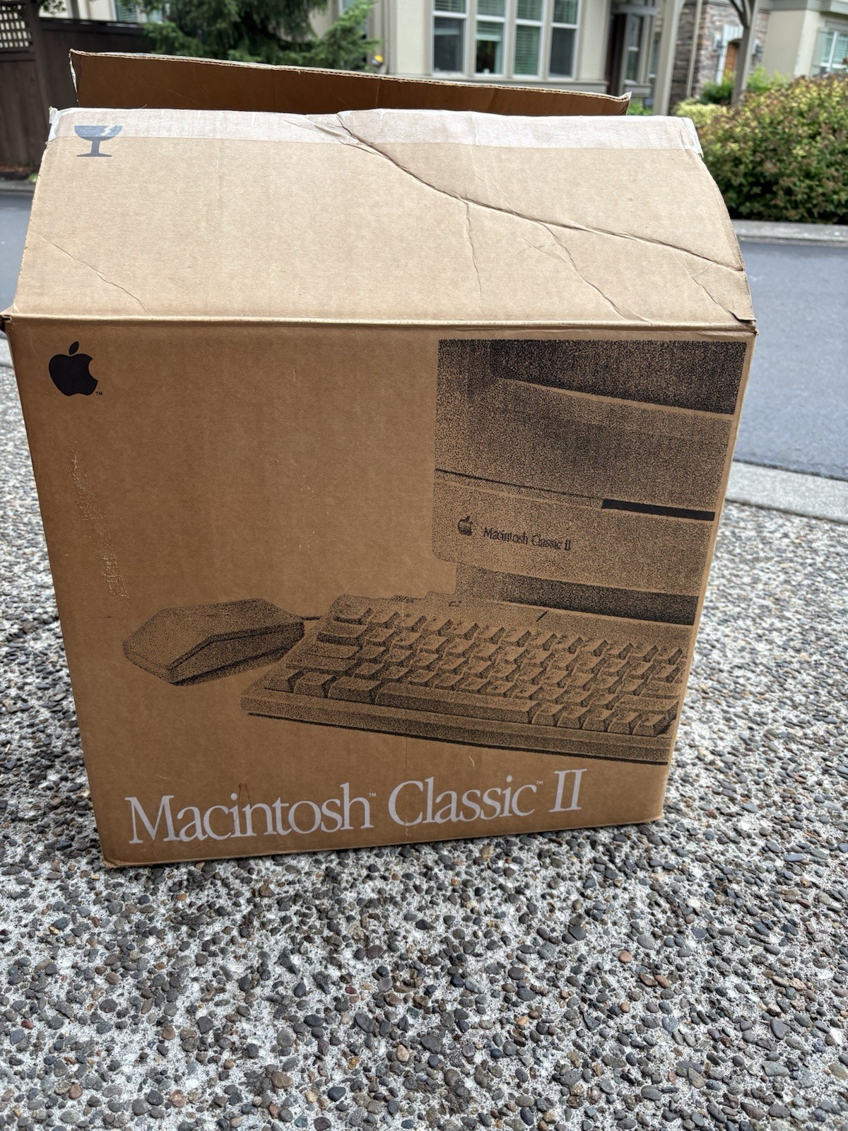 Vintage Apple Macintosh Classic II Original Box Only