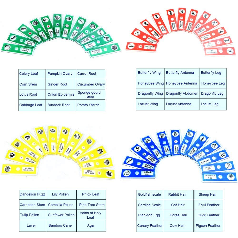 Prepared Microscope Slides, 48pcs Plastic Animals Insects Plants Flowers Sample