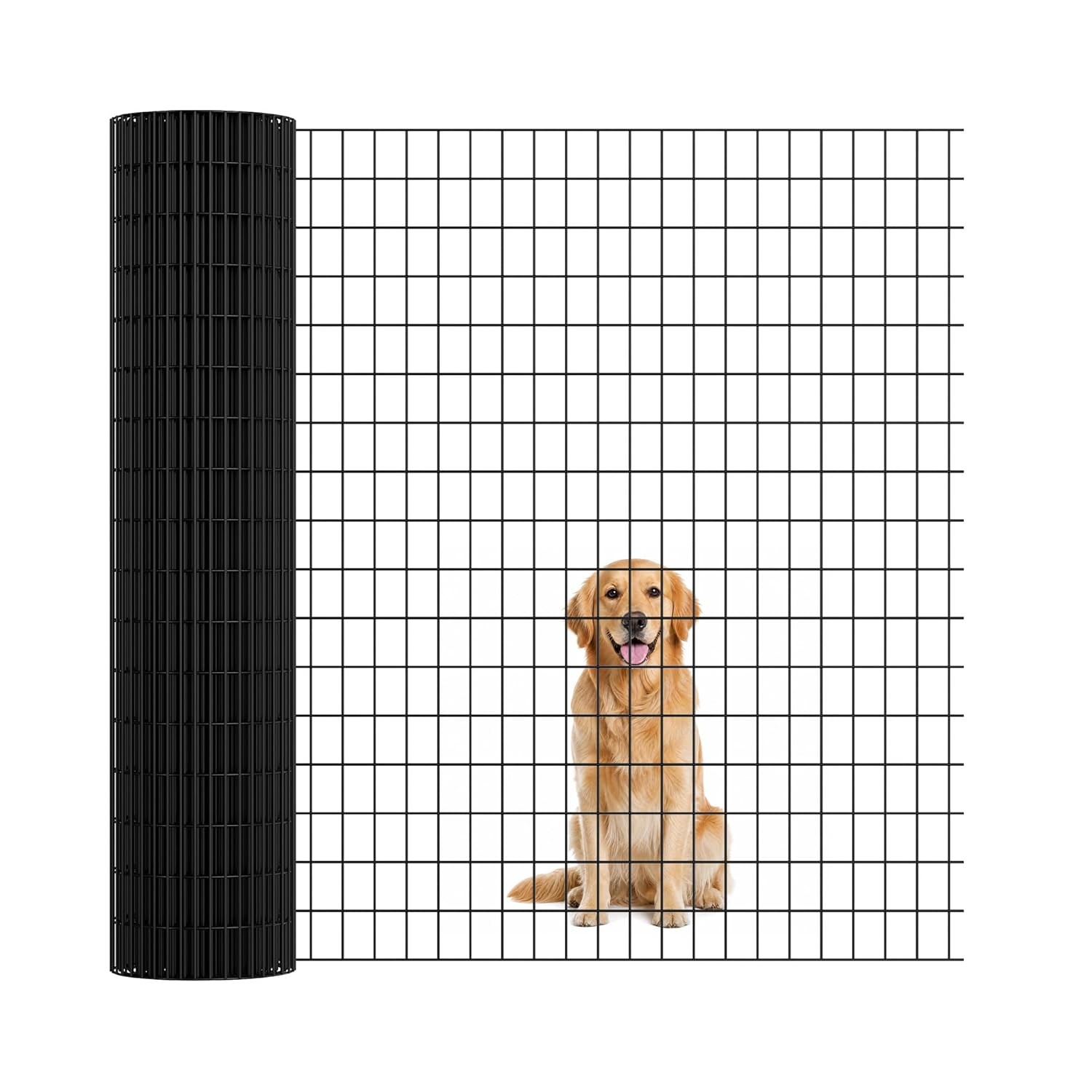 Black PVC Coated Welded Wire Mesh 2x3 Inch 16 GA Roll for Vegetable Protection