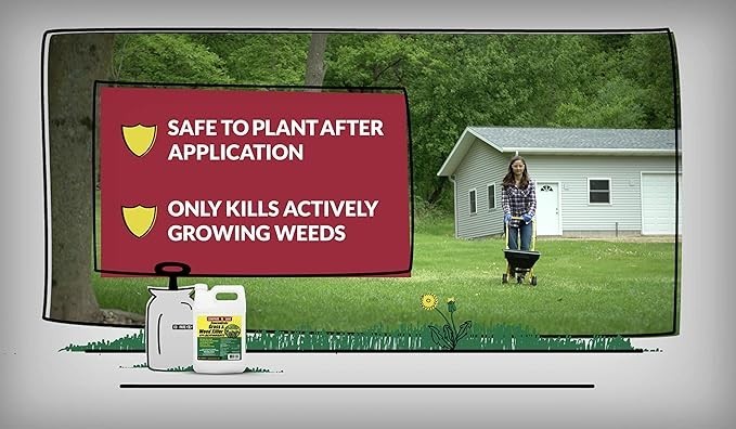 Compare-N-Save Concentrate Weed and Grass Killer - 1 gal