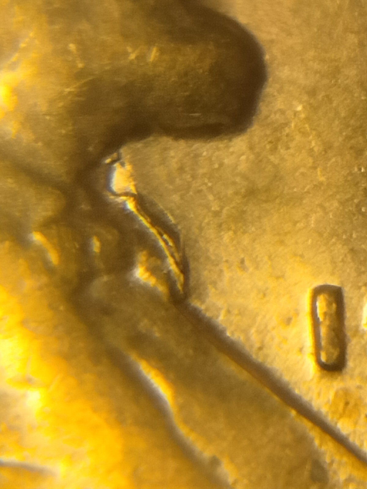 1956 P Lincoln Wheat Cent Retained Die Breaks Die Breaks