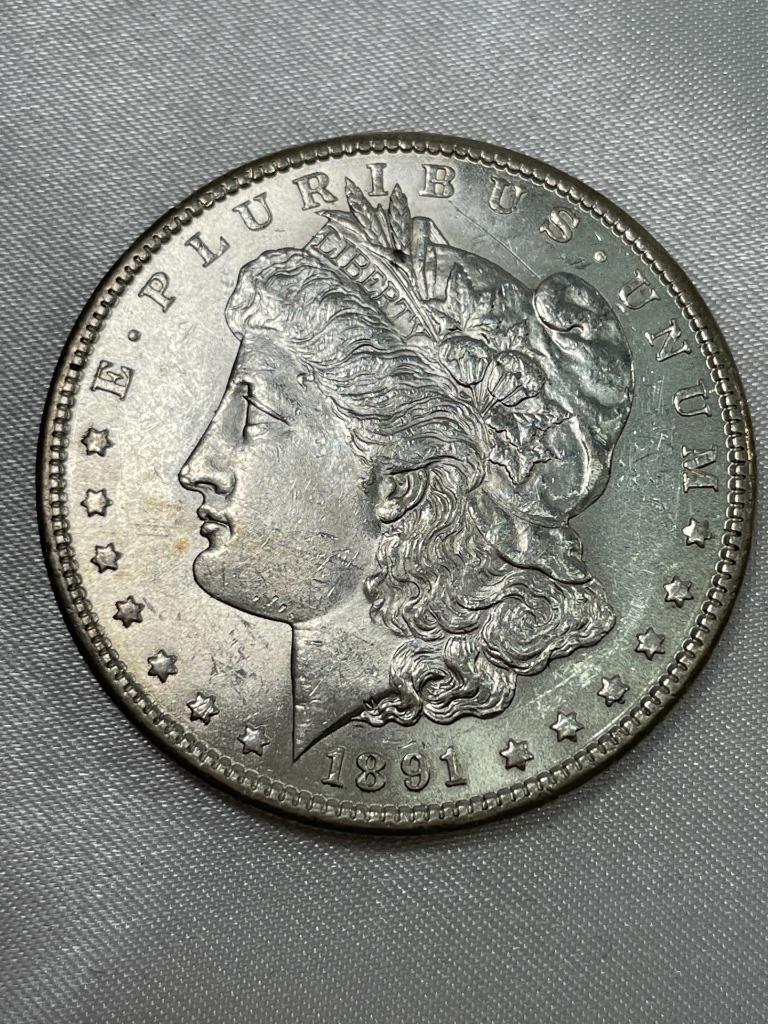 1891-S  Morgan Silver Dollar, US, 90%  UNC Details    -YOU GRADE-