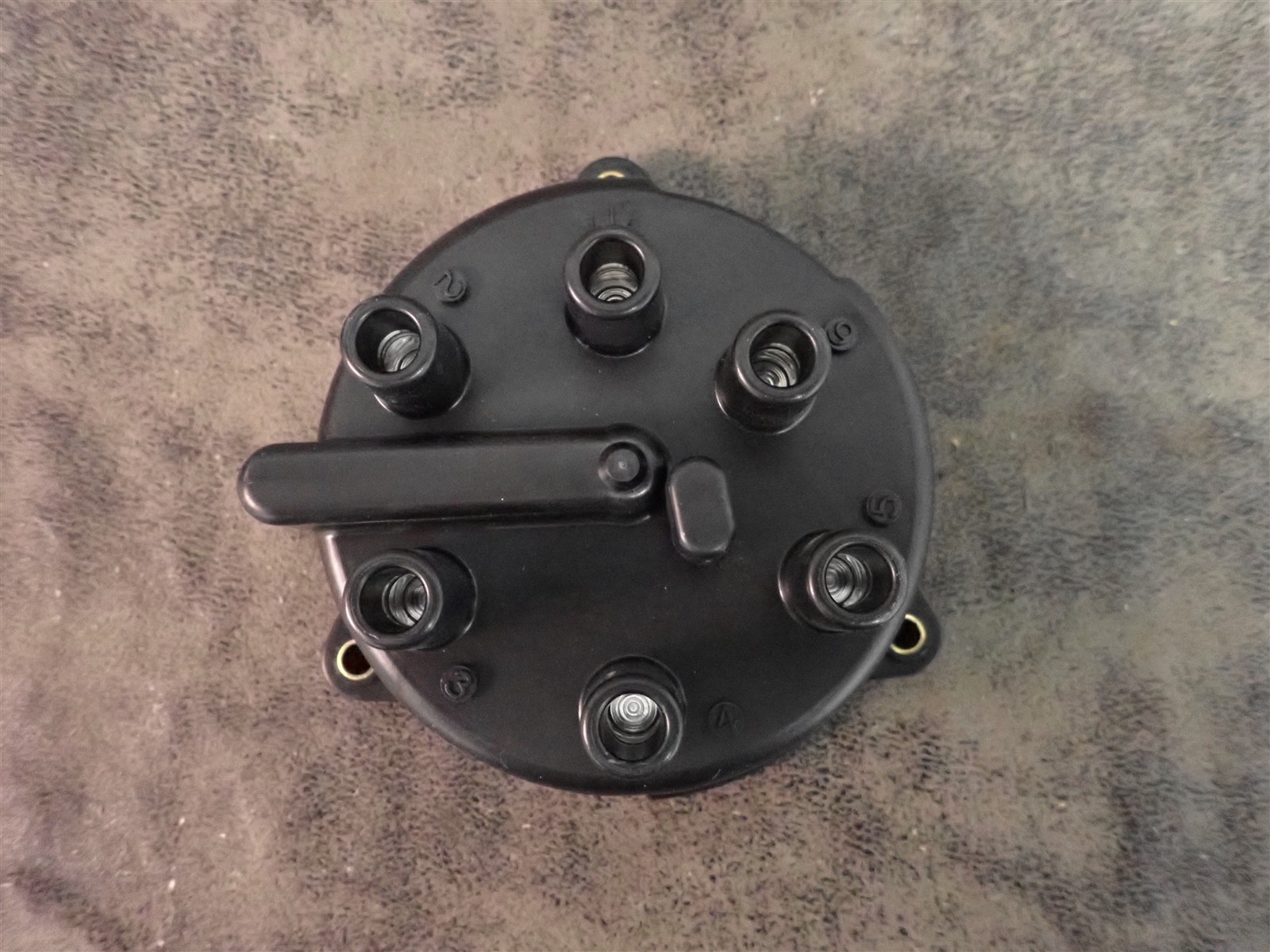NEW WVE 5D1234 Distributor Cap (G218)