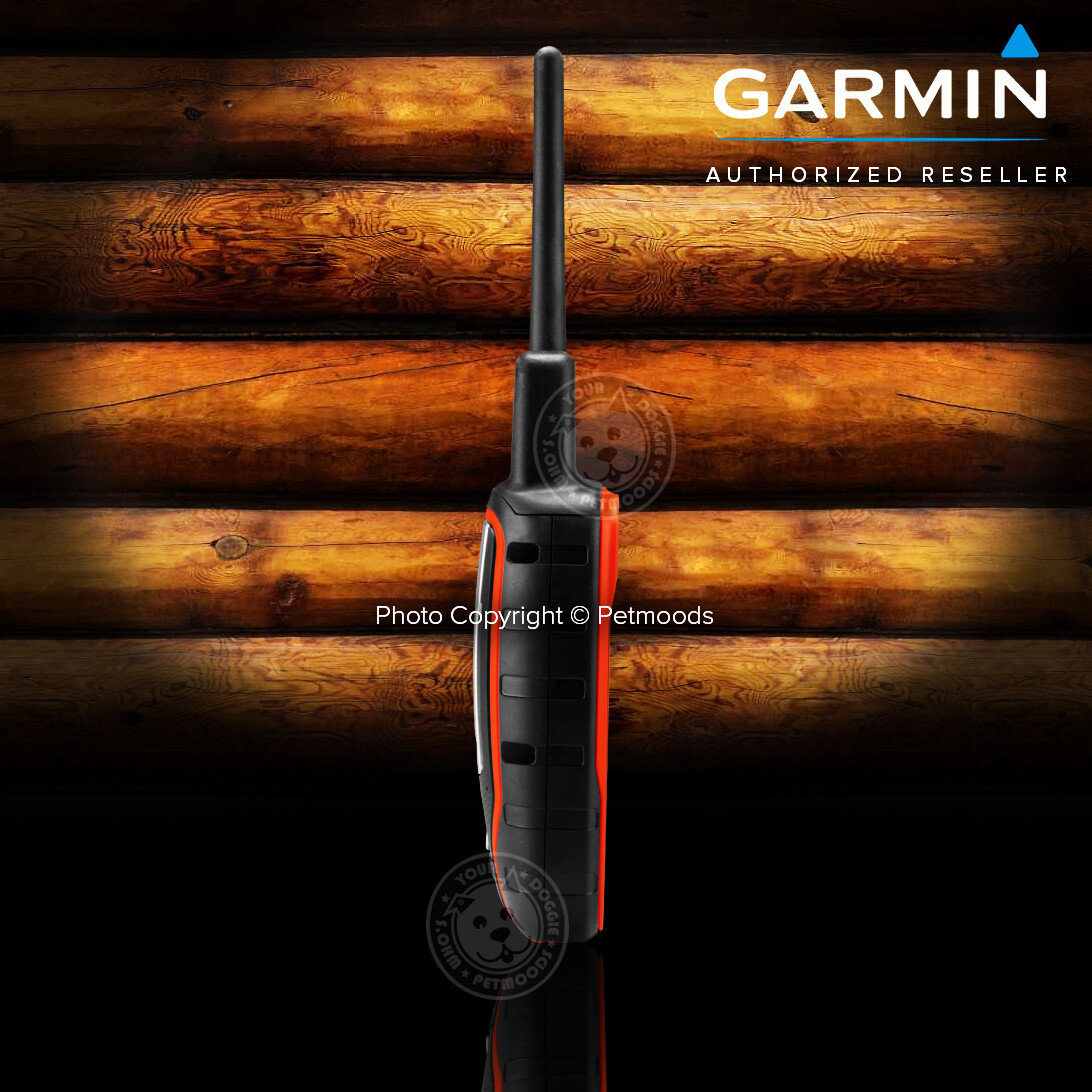 Garmin Alpha 100 / TT15X Dog Device GPS Collar Bundle
