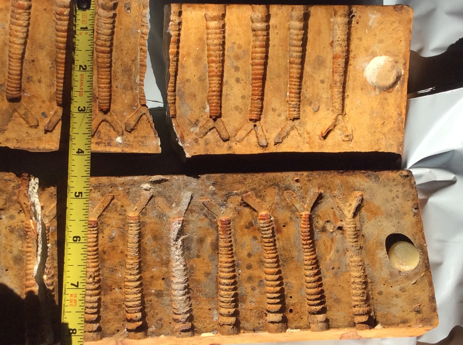 Vintage Shrimp Prawn Lure Bait Mold Unknown Maker Rare (#2)