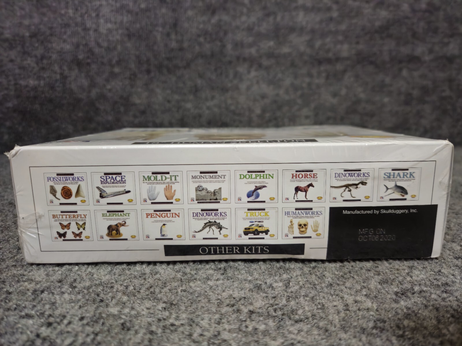 Skullduggery Eyewitness Kits Humanworks 18" HUMAN SKELETON