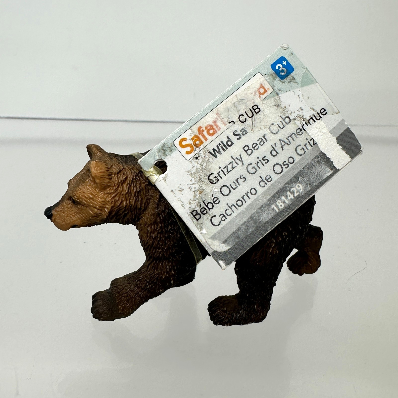 Safari Ltd Grizzly Bear Cub Wildlife Animal Figure Toy Figurine 2015 3" w/ Tag