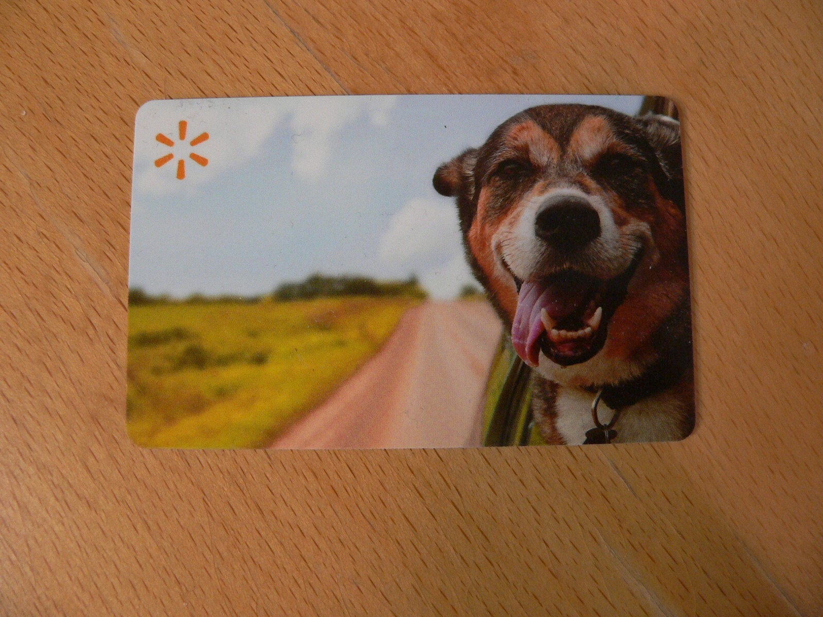 10 DOG Gift Cards NO $ Value Collectible Petco Petsmart Walmart Children's Place