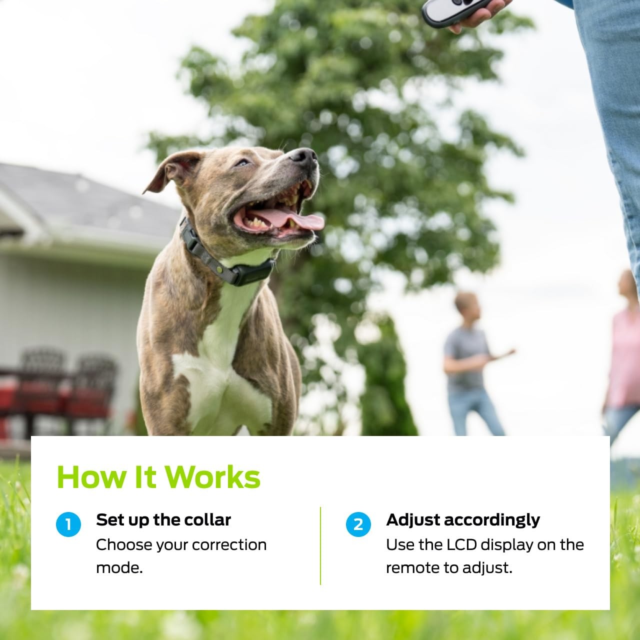 Dog Shock Collar - Safe Behavior Training - 1000ft Long Range Training Shock ...