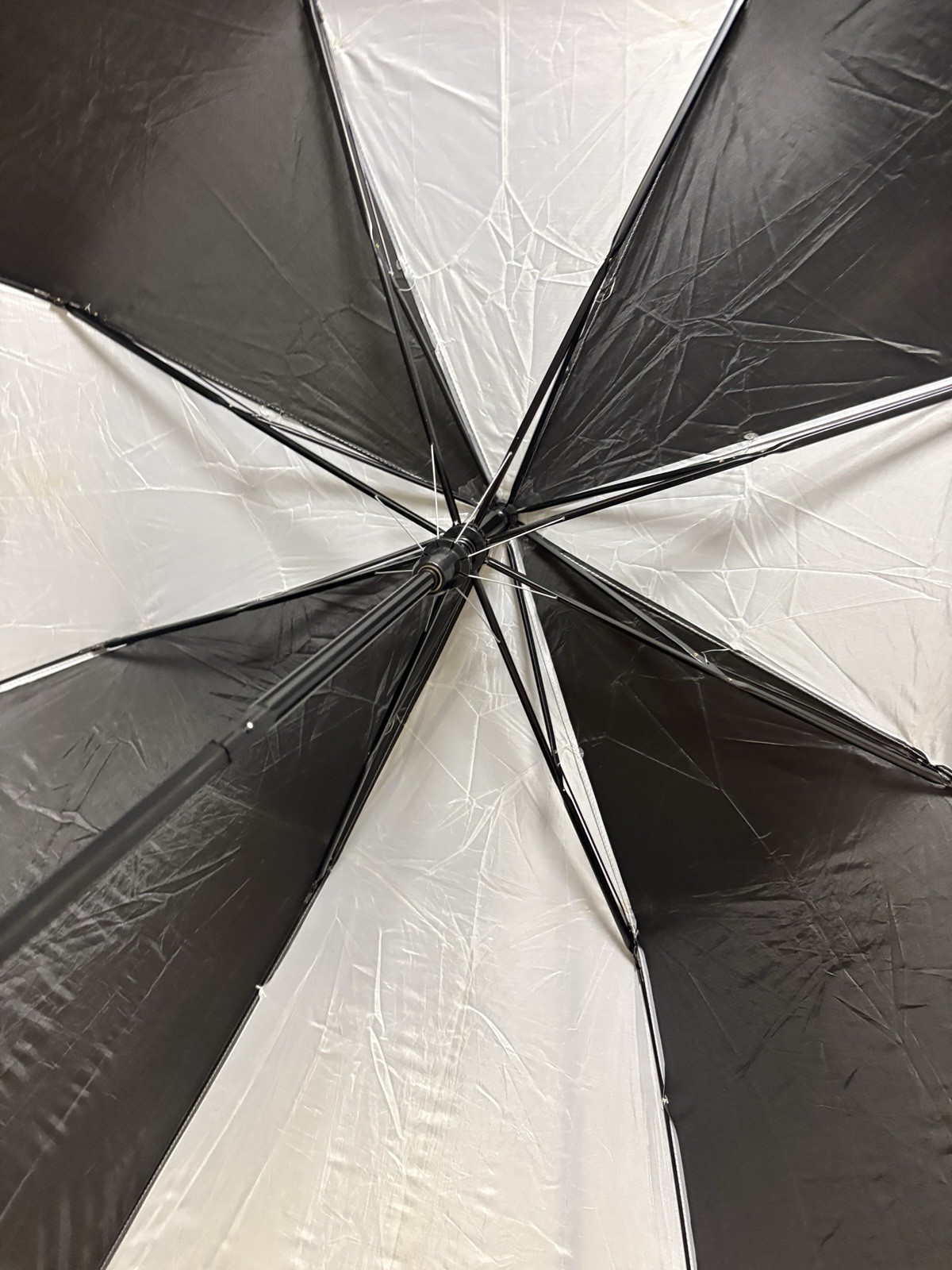 Compact Black and White Umbrella