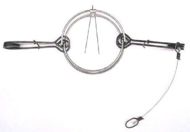 2 RBG #220 Body Grip Trap Double Spring Trapping Supplies 2 Traps