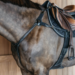Dion Elastic Chest Harness (5-Point)