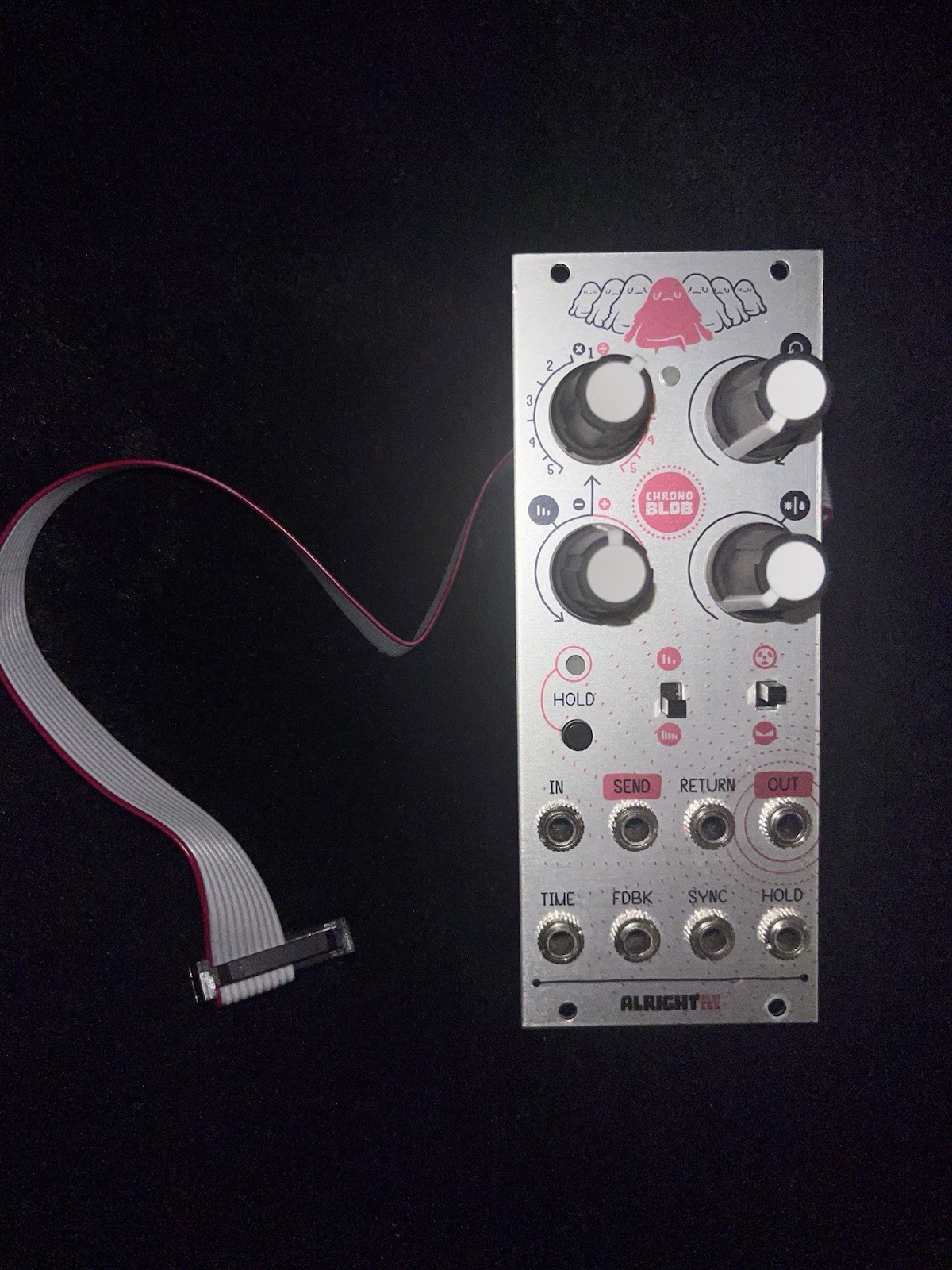 Alright Devices Digital Delay Eurorack Module - Used & Working!