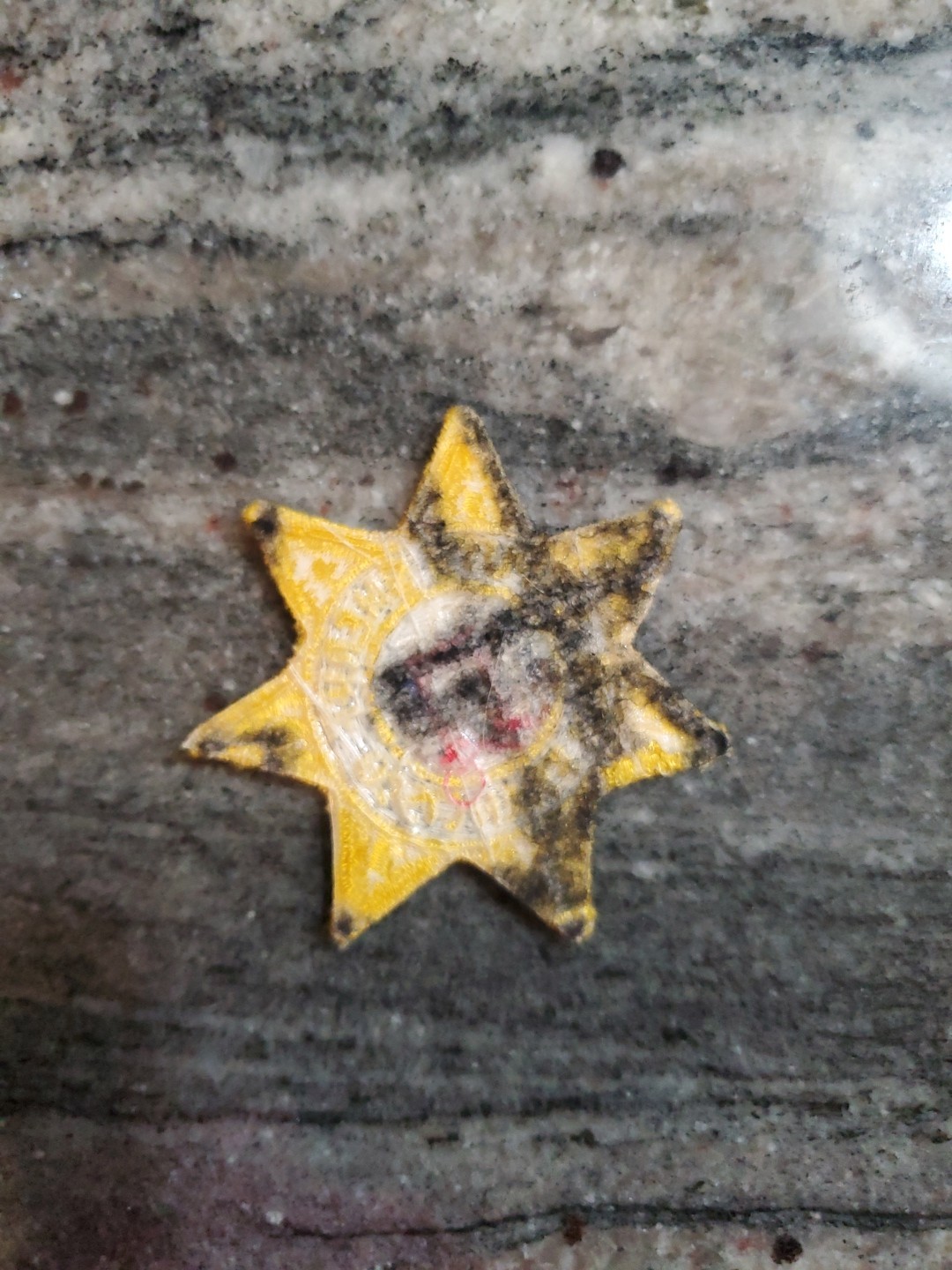 San Francisco Sheriff Department Patch