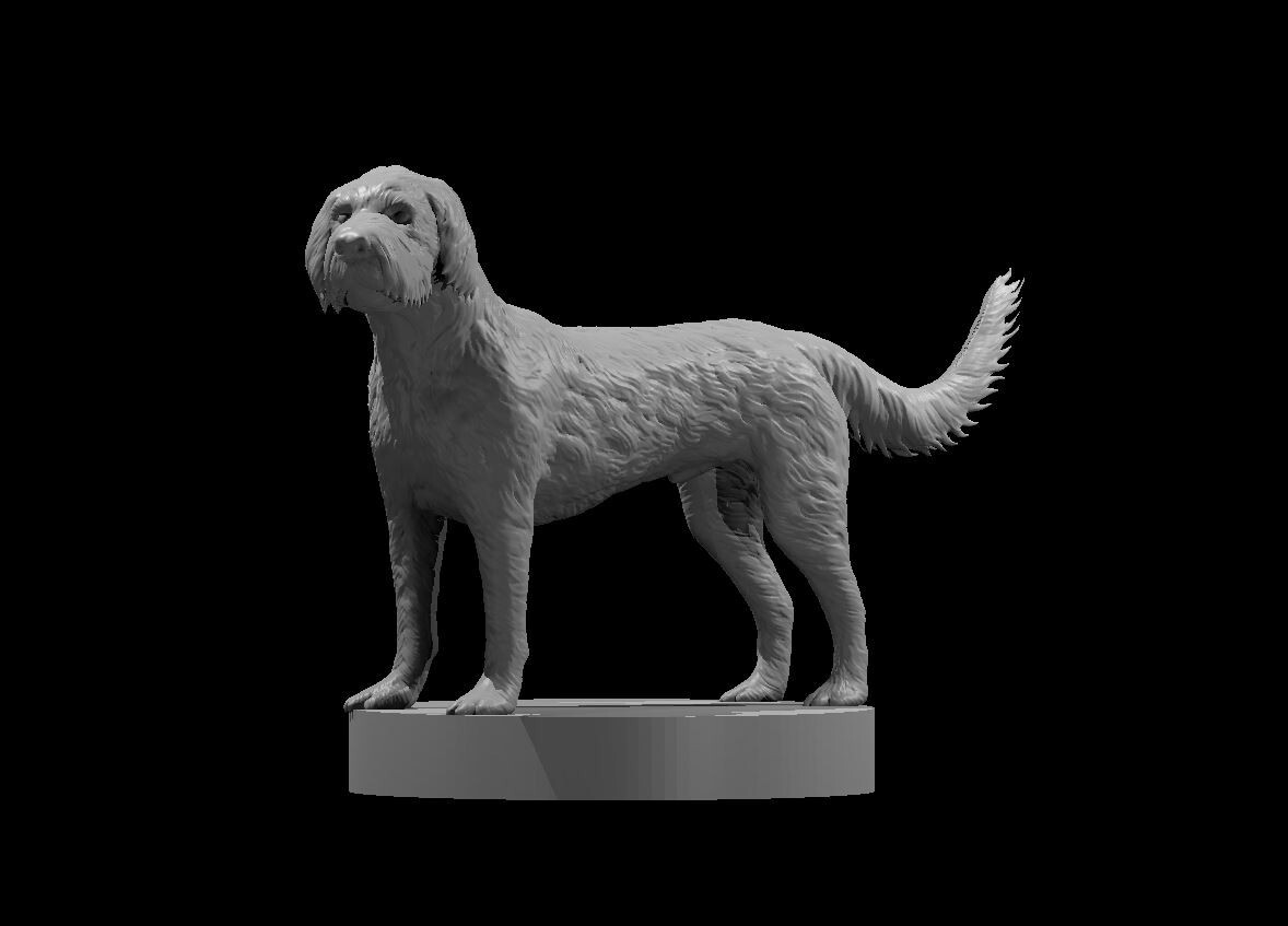 Labradoodle Cockapoo Dog FamiliarMonster Manual 28mm Scale DND D&D Tabletop Mini