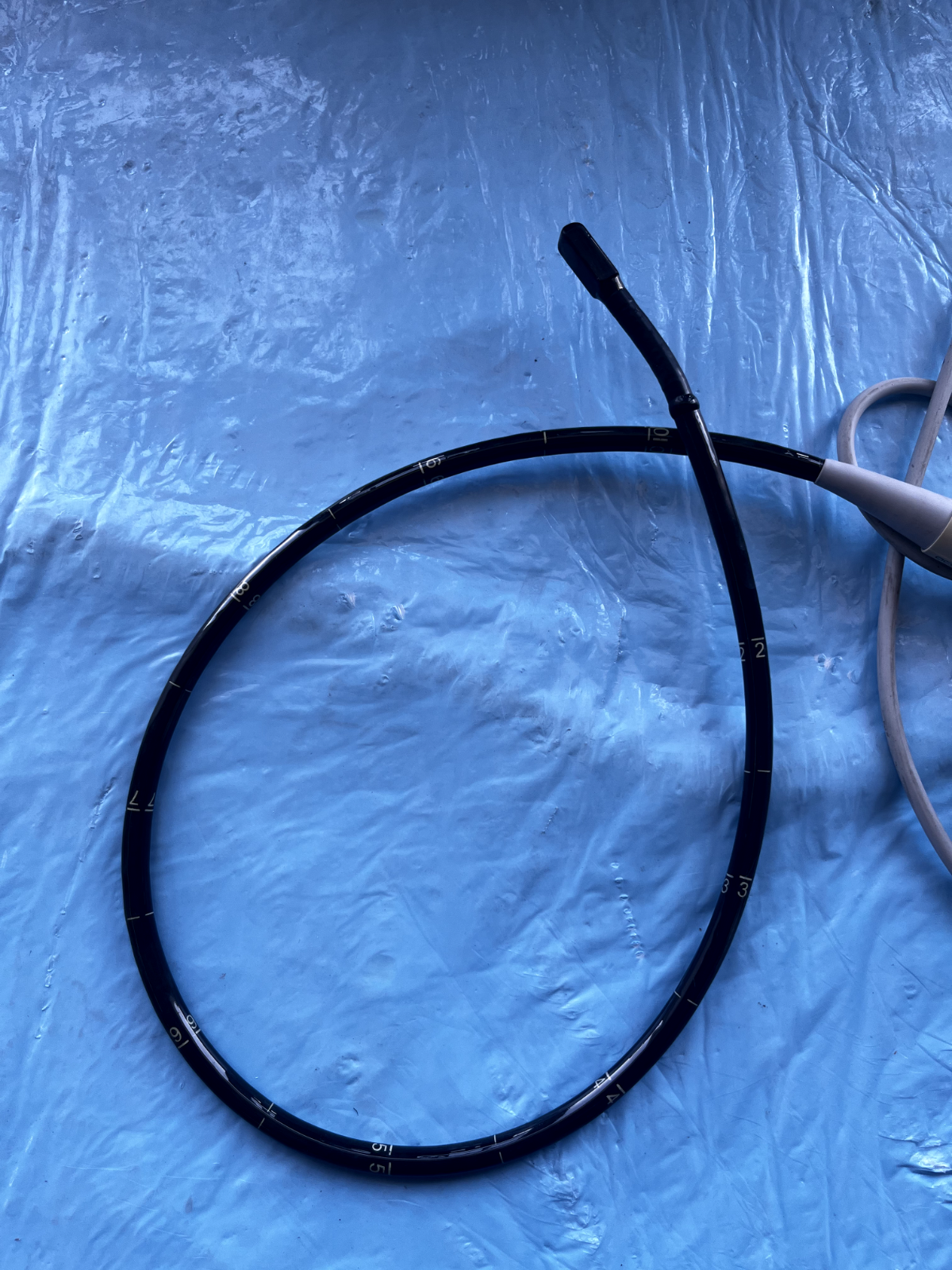 Acuson Transducer/Probe TE-V5M