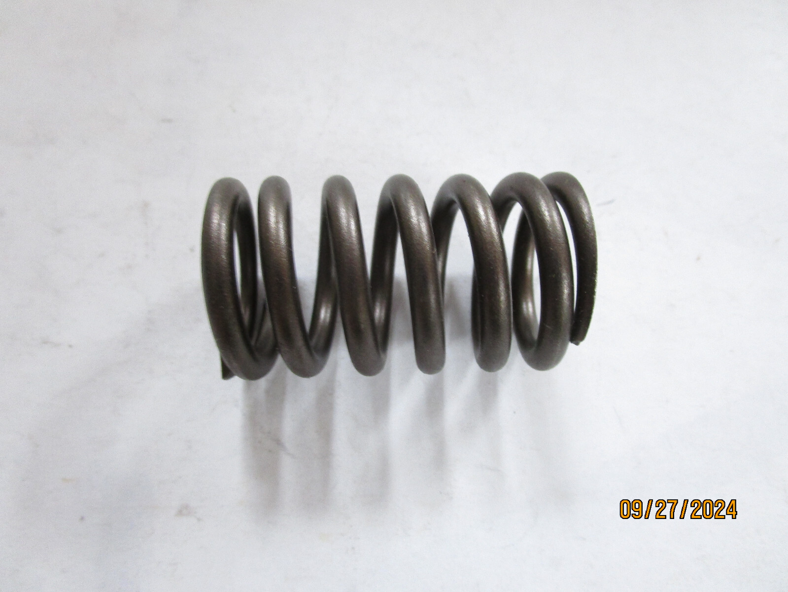 Engine Valve Spring SBI 160-1266