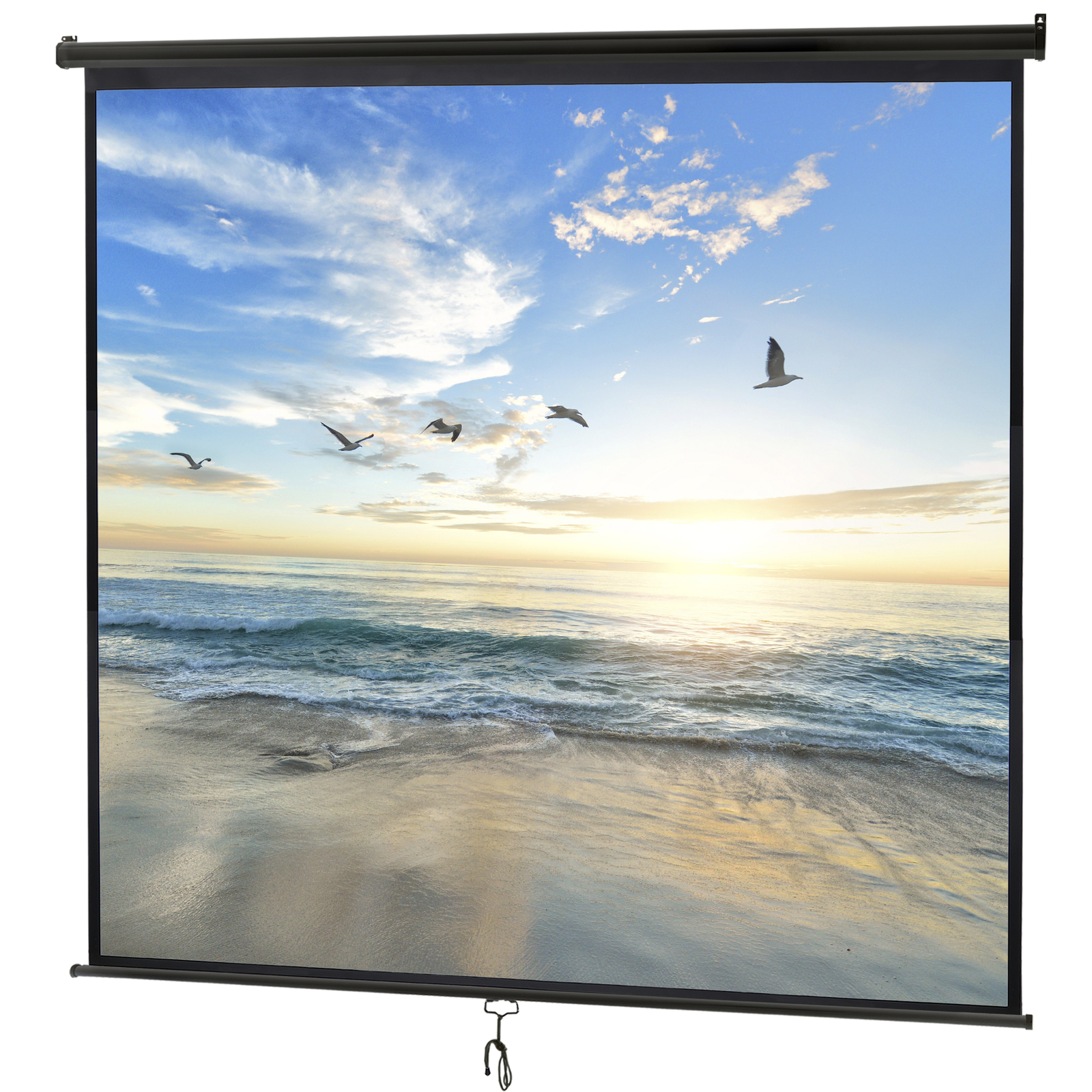 120" 1:1HD Diagonal Dimension Pull Down Projection Screen HD Movie Theater Black