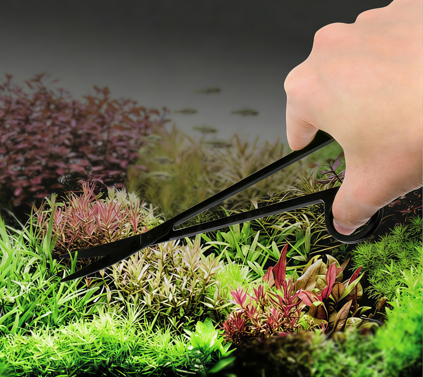 4Pcs Aquascaping Tools Kit, Long Stainless Steel Aquarium Plant Tools