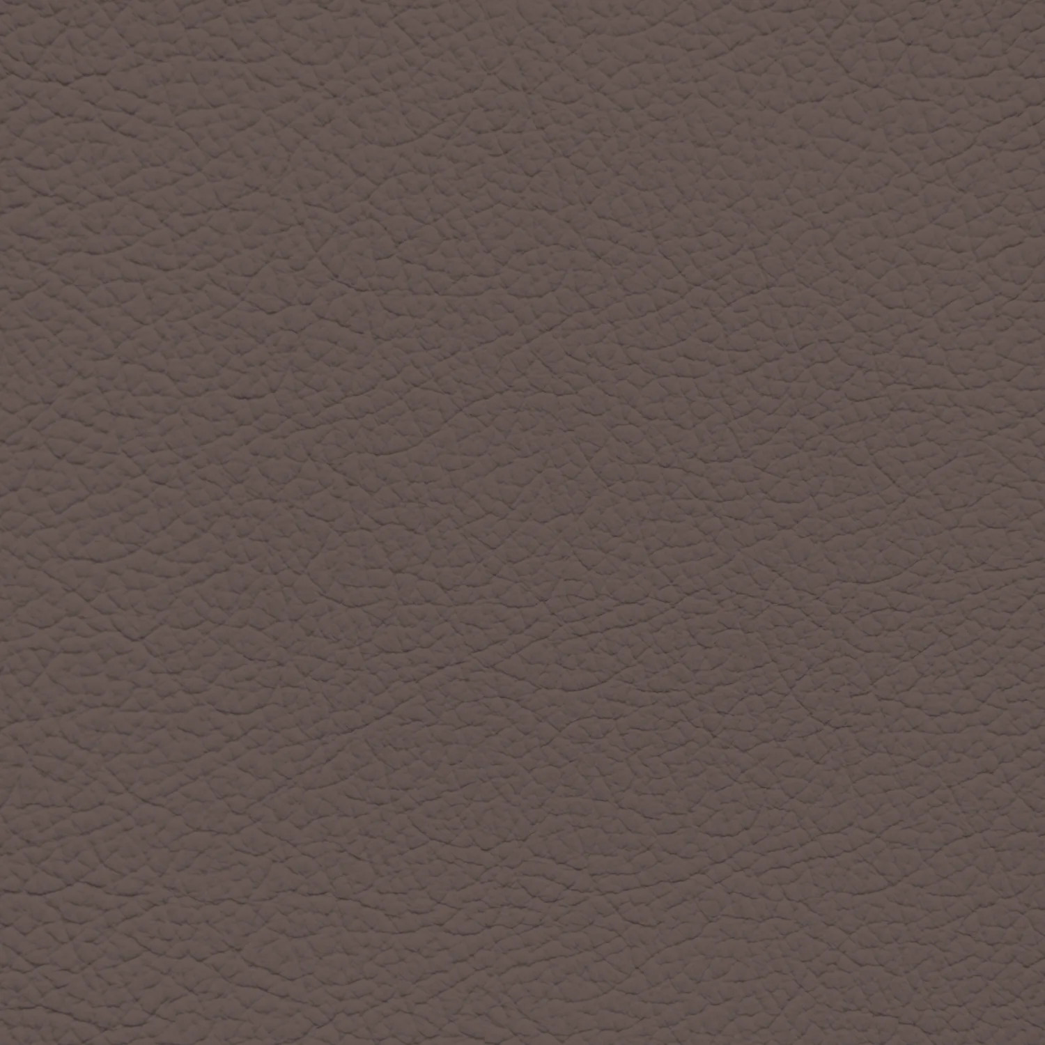 Lamborghini Marrone Janus Leather Dye