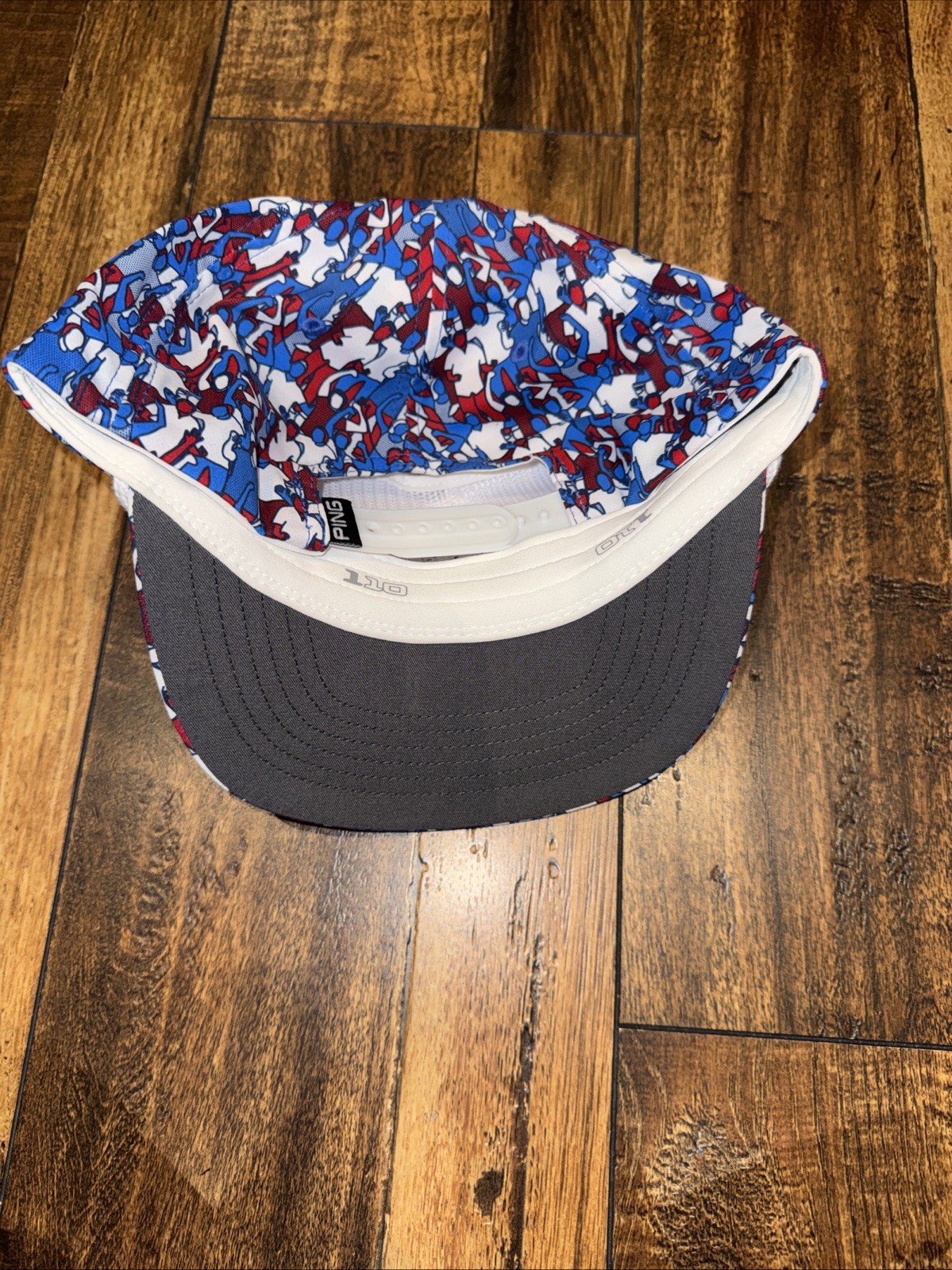 PING GALLERY CAP