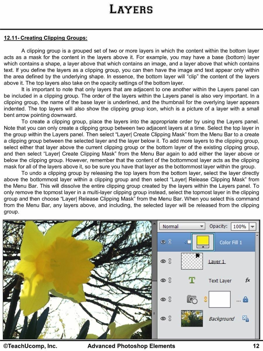 Learn Adobe PHOTOSHOP ELEMENTS 13 Training Tutorial DVD & Digital Course 6 Hours
