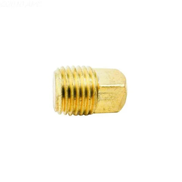Hayward 1/4" NPT Brass Plug