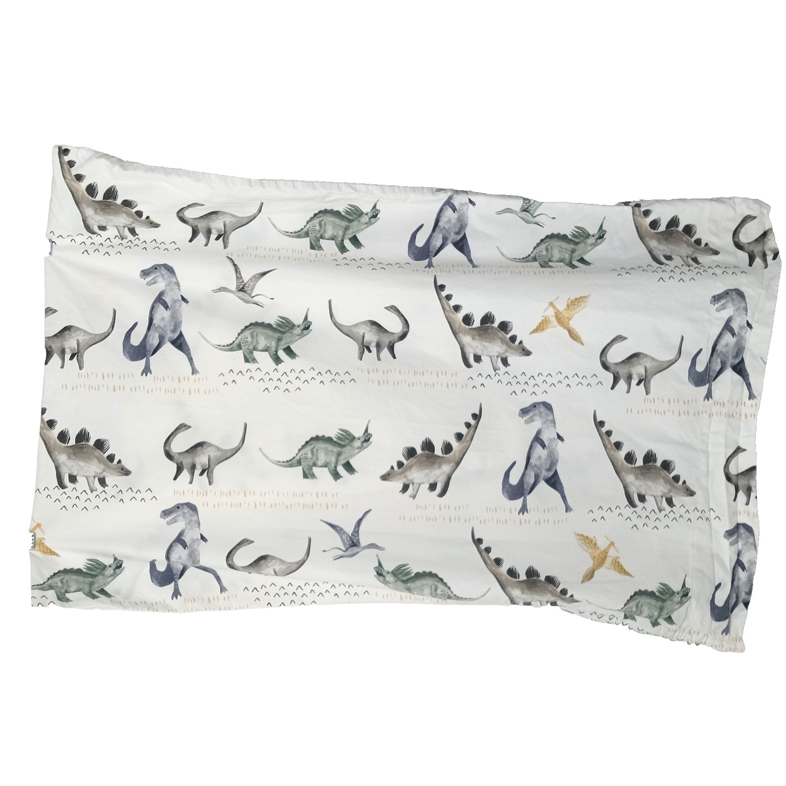 Pottery Barn Kids Organic Cotton Pillowcase Standard Size Boys Dinosaur Theme