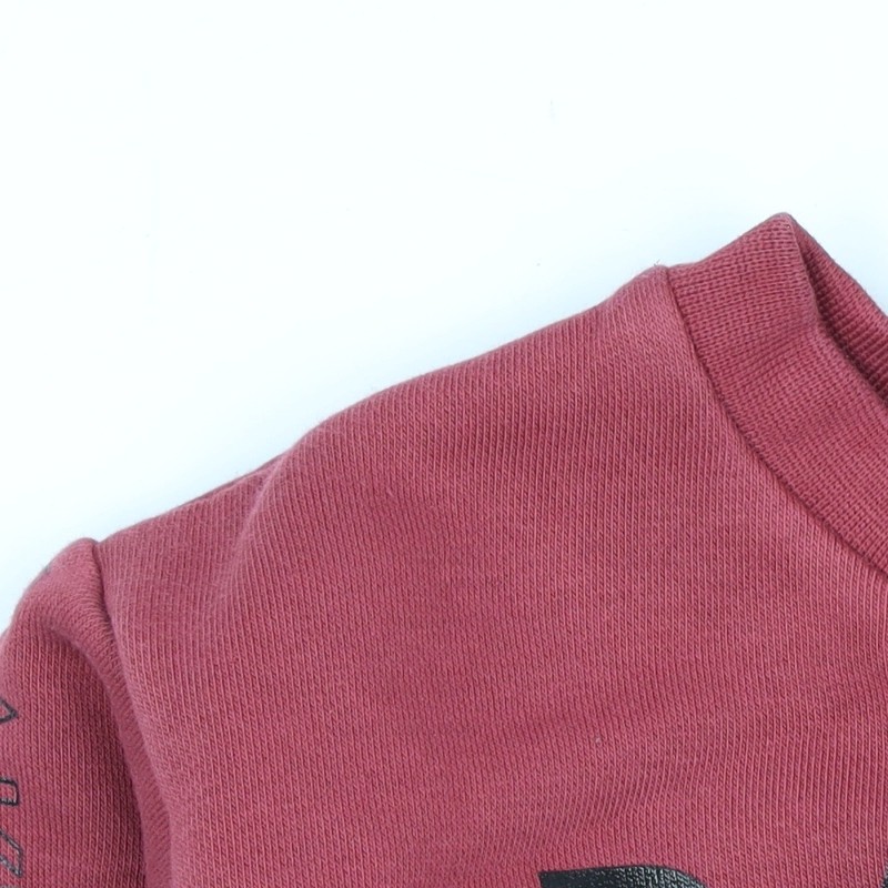 Baker by Ted Baker Unisex Red Pullover Top, 6-9 Months