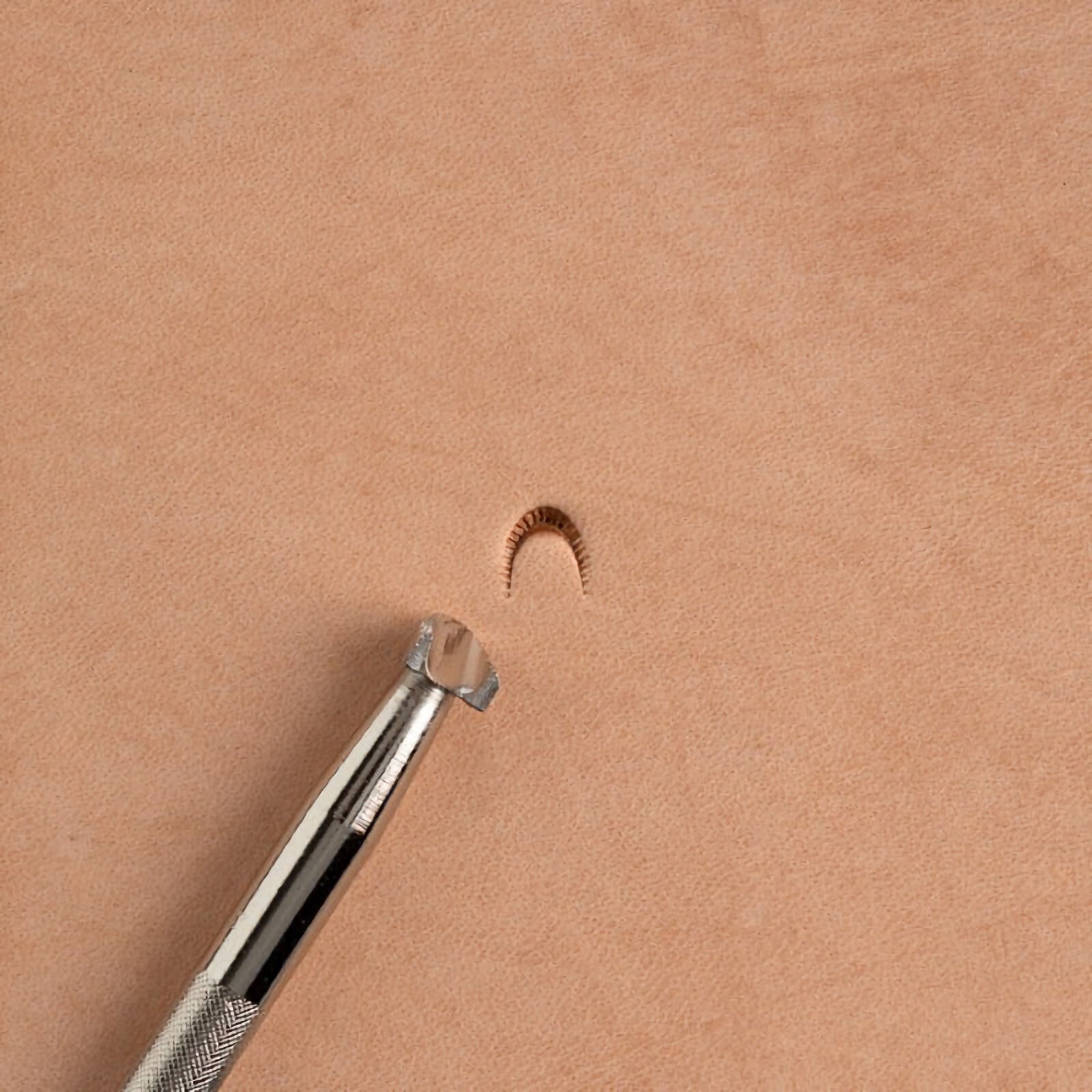 U855 Craftool Rounded Serrated Mule Foot Stamp 6855-00