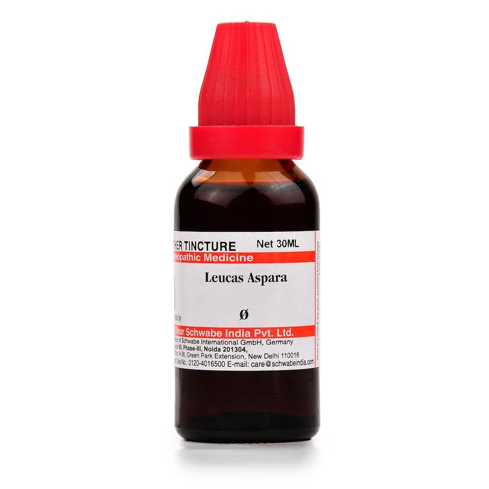 Dr Willmar Schwabe Leucas Aspara Mother Tincture Q 30ml Free Shipping Worldwide